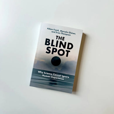 The Blind Spot US - Paperback / softback