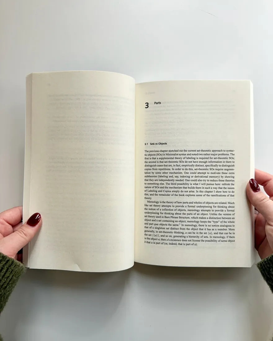 Mereological Syntax US - Paperback / softback