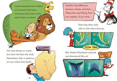 A Whale of a Tale! All About Porpoises, Dolphins, and Whales US - Hardback (9780375822797)