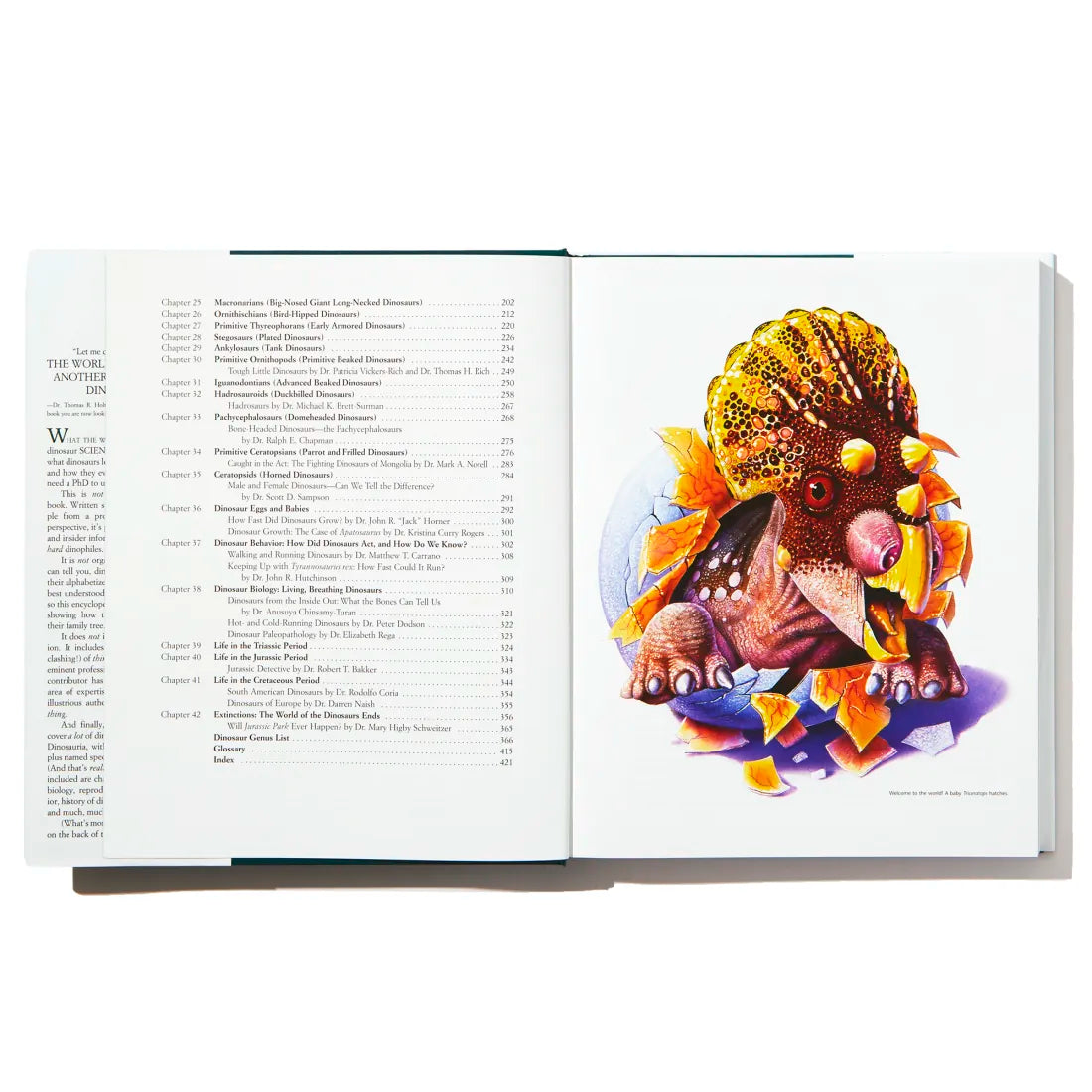 Dinosaurs US - Hardback