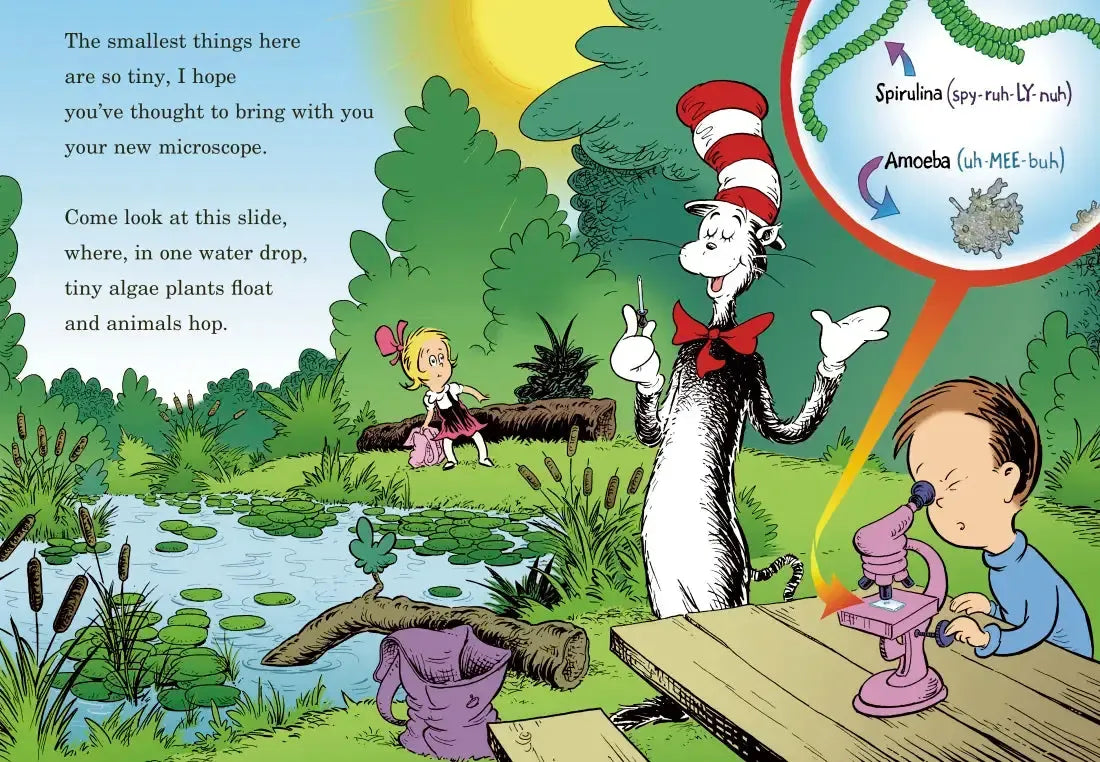 Would You Rather Be a Pollywog? All About Pond Life US - Hardback (9780375828836)