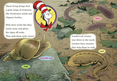 Would You Rather Be a Pollywog? All About Pond Life US - Hardback (9780375828836)