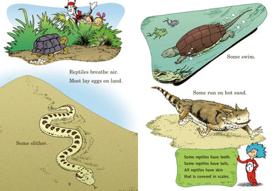 Miles and Miles of Reptiles: All About Reptiles US - Hardback (9780375828843)