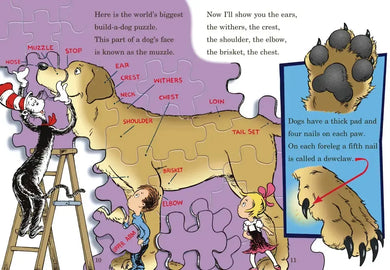 If I Ran the Dog Show: All About Dogs US - Hardback (9780375866821)