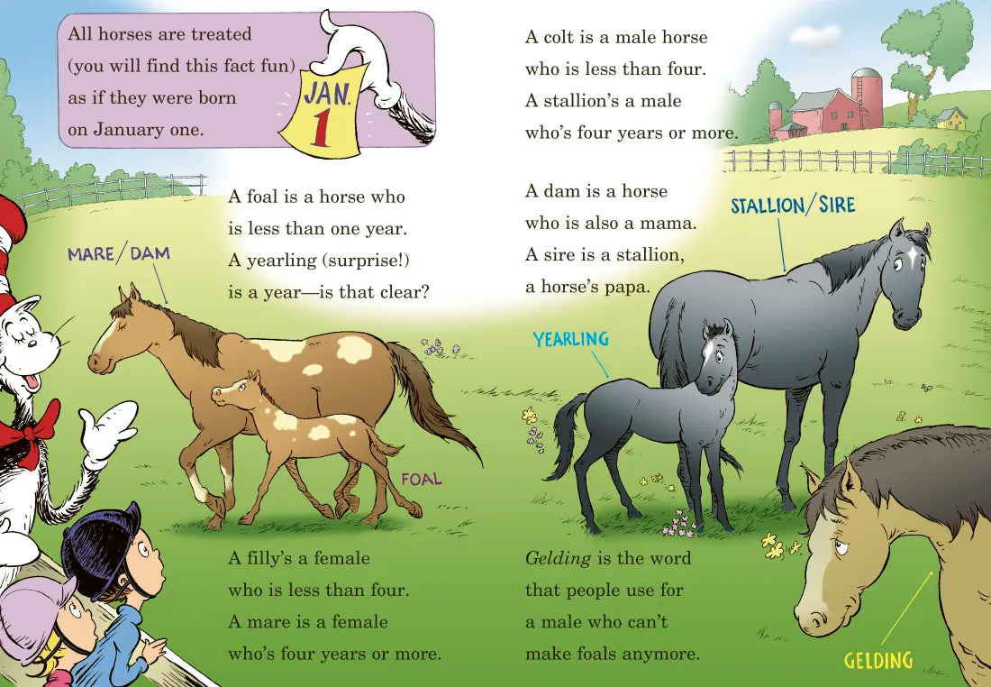 If I Ran the Horse Show: All About Horses US - Hardback (9780375866838)
