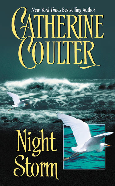 Night Storm-Fiction: Modern and contemporary-買書書 BuyBookBook