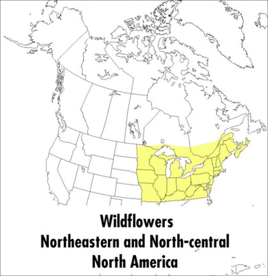 A Peterson Field Guide To Wildflowers-Reference/ Information/ Interdisciplinary subjects-買書書 BuyBookBook