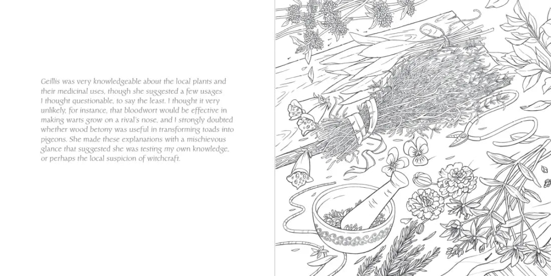 The Official Outlander Coloring Book US - Paperback / softback