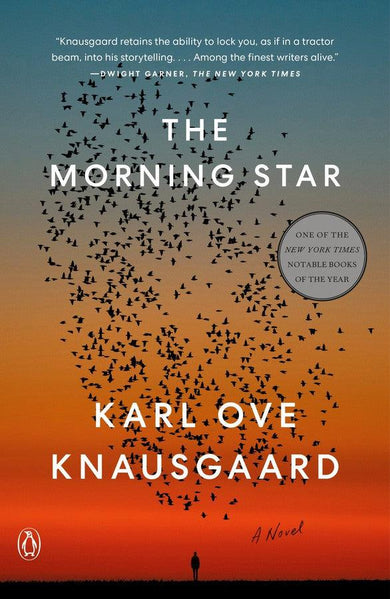 The Morning Star-Fiction: Modern and contemporary-買書書 BuyBookBook
