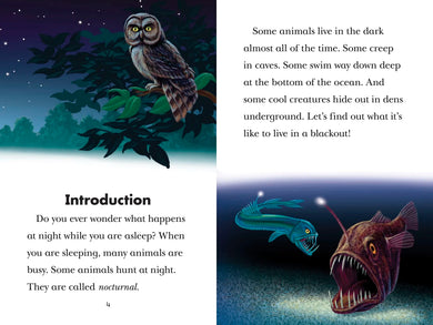 Black Out!: Animals That Live in the Dark US - Paperback / softback