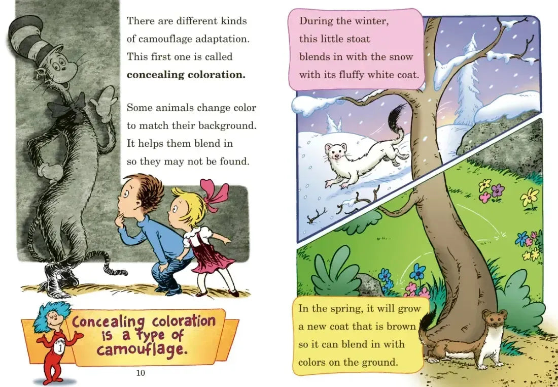 High? Low? Where Did It Go? All About Animal Camouflage US - Hardback (9780449814963)