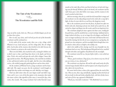 The Notorious Virtues US - Hardback
