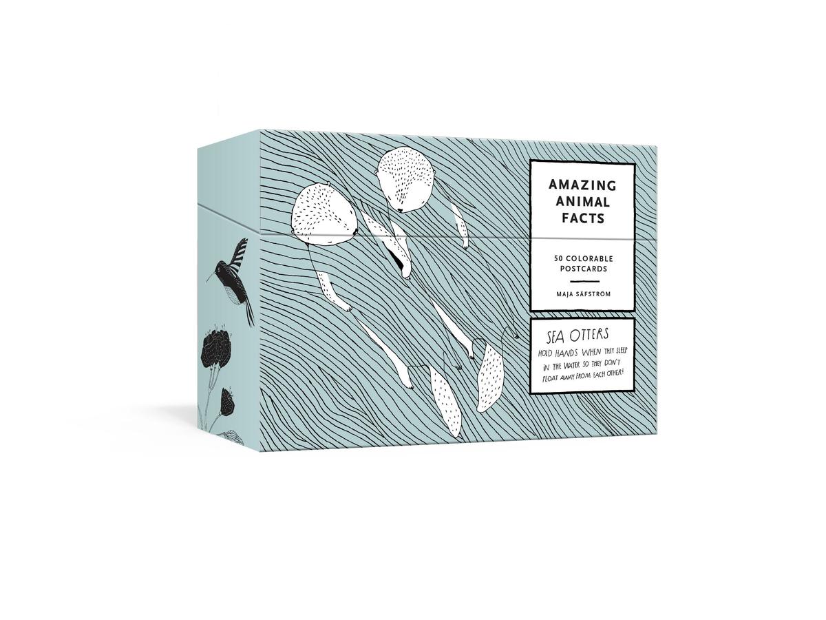 Amazing Animal Facts Postcards-Nature and the natural world: general interest-買書書 BuyBookBook