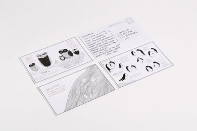 Amazing Animal Facts Postcards US - Cards