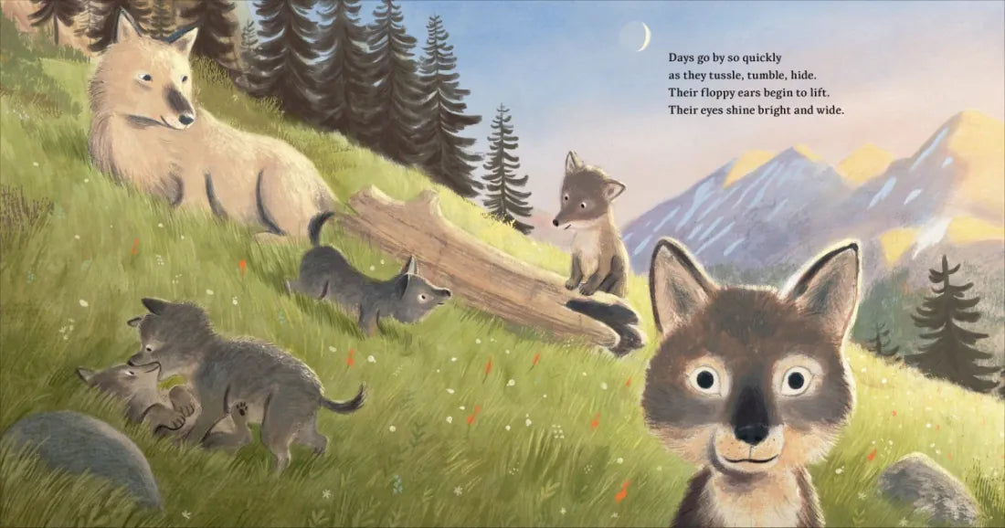 Full Moon Pups US - Hardback
