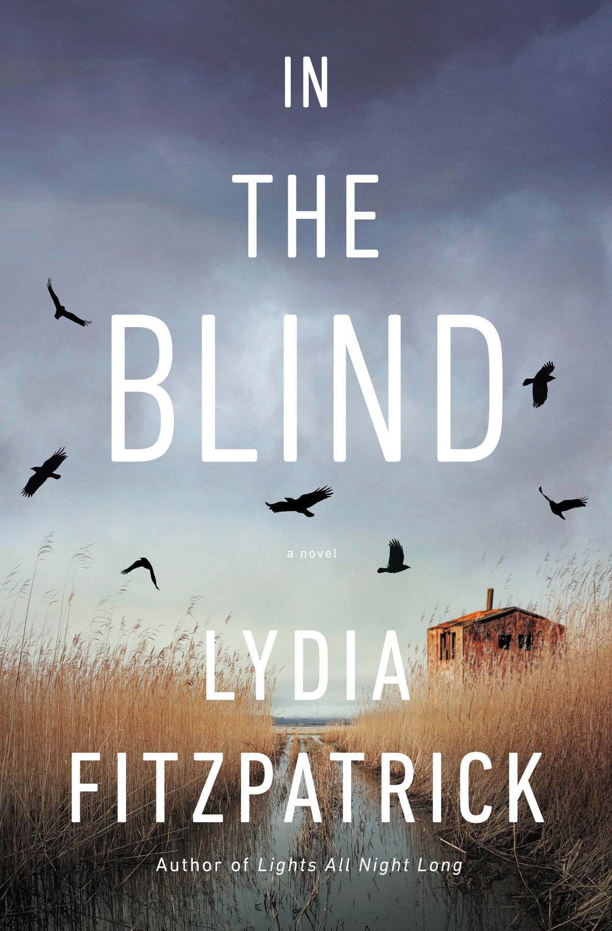 In the Blind cover (ISBN 9780525558767)