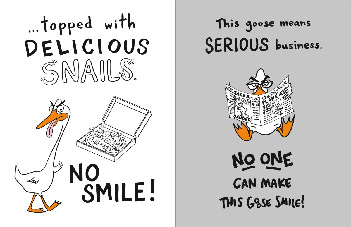 The Serious Goose US - Board book