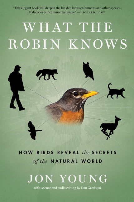What The Robin Knows