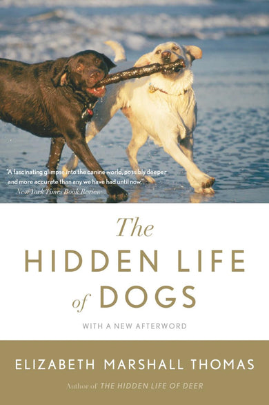 The Hidden Life Of Dogs