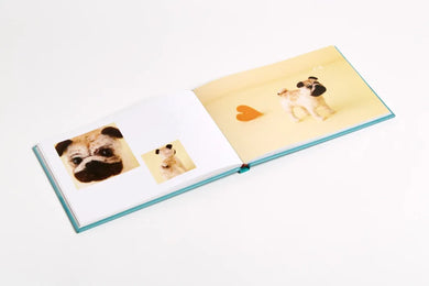 Little Felted Dogs US - Hardback