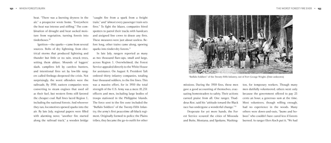 When Forests Burn US - Hardback (9780593121733)