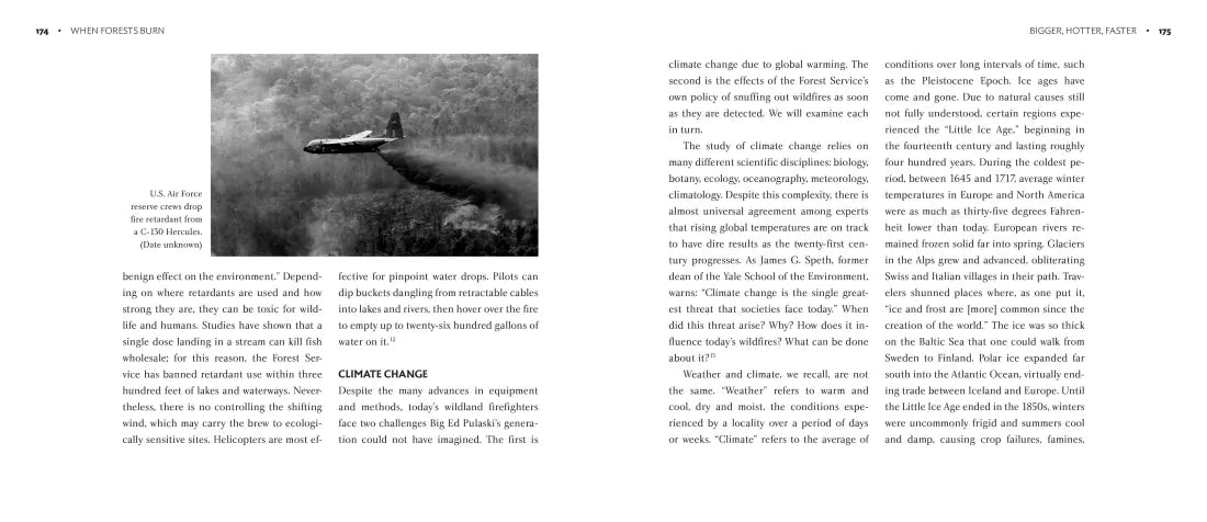 When Forests Burn US - Hardback (9780593121733)