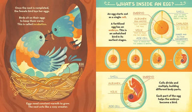 What's Inside A Bird's Nest? US - Hardback (9780593176528)