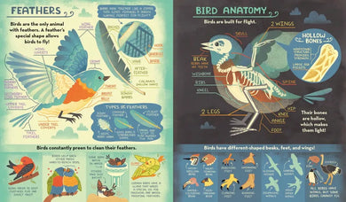 What's Inside A Bird's Nest? US - Hardback (9780593176528)