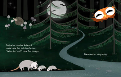 Little Owl's Love US - Hardback