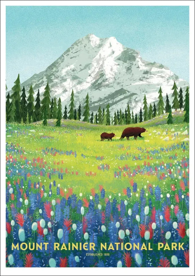 National Parks Postcards US - Cards