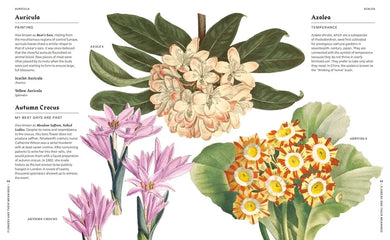 Flowers and Their Meanings US - Hardback