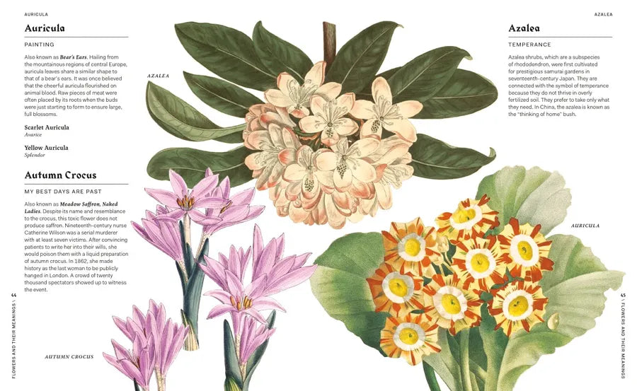 Flowers and Their Meanings US - Hardback