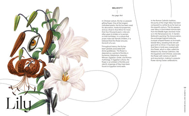 Flowers and Their Meanings US - Hardback