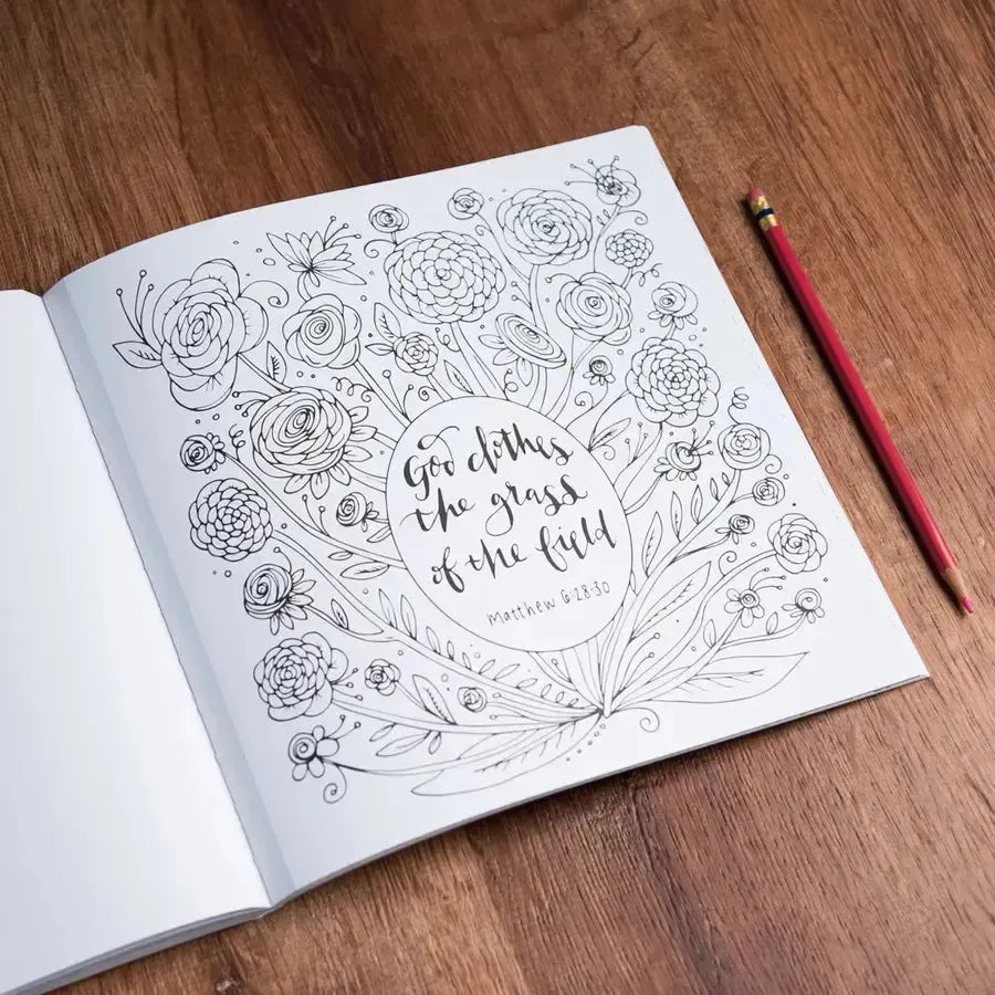 For the Beauty of the Earth US - Paperback / softback