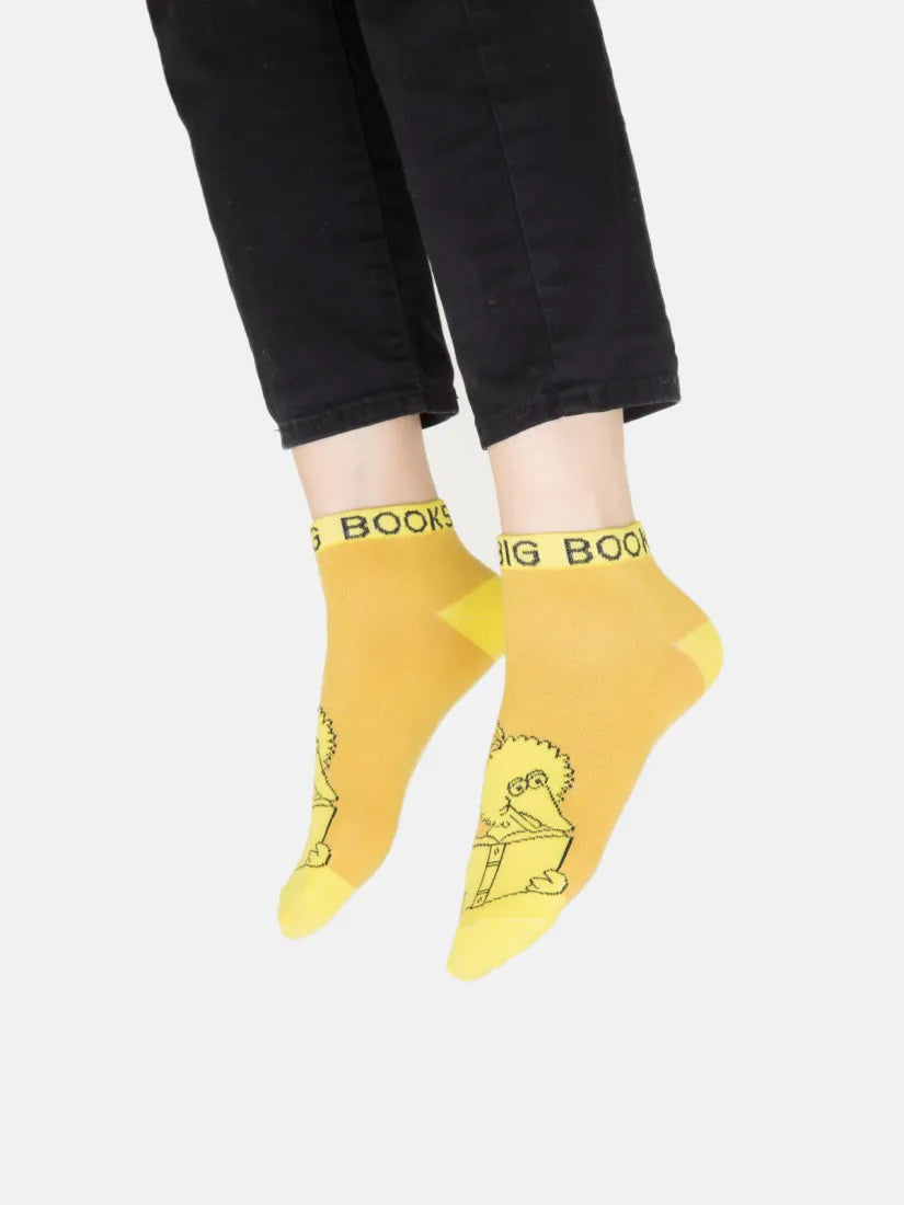 Sesame Street Ankle Socks 4-pack - Large US - Other apparel