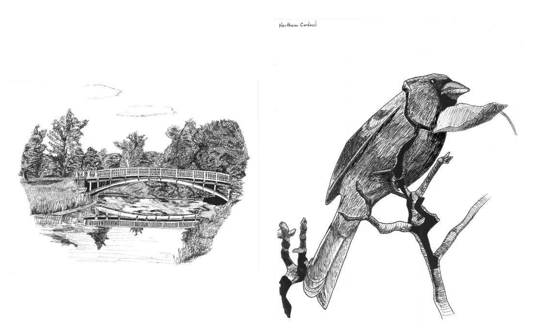 Slow Birding US - Hardback