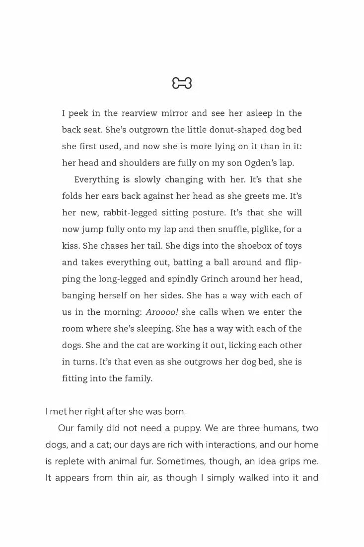 The Year of the Puppy US - Hardback