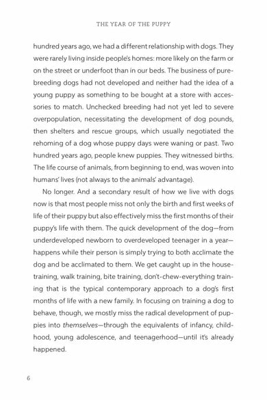 The Year of the Puppy US - Hardback