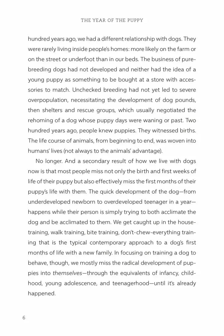 The Year of the Puppy US - Hardback