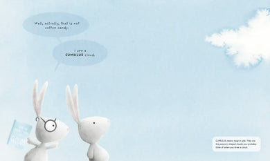 Partly Cloudy US - Hardback