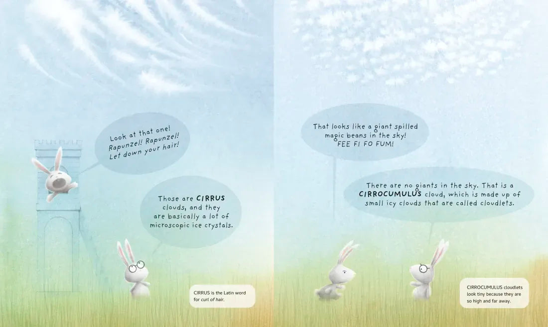 Partly Cloudy US - Hardback