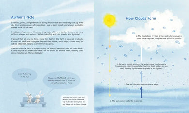 Partly Cloudy US - Hardback