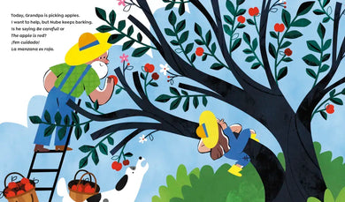 Wonder in the Garden US - Hardback