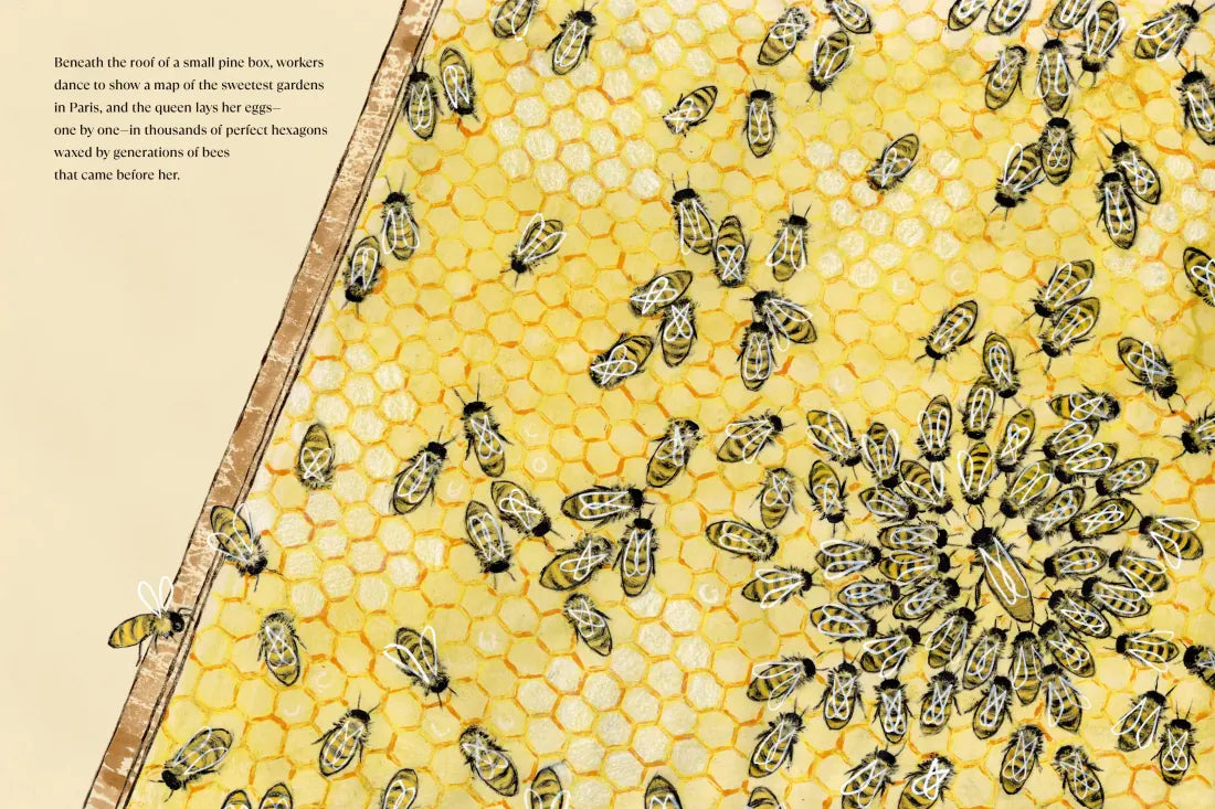 The Bees of Notre-Dame US - Hardback (9780593374573)