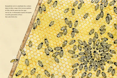 The Bees of Notre-Dame US - Hardback (9780593374566)