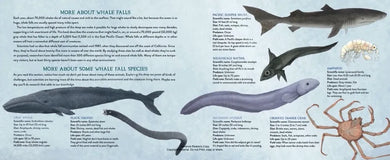 Whale Fall US - Hardback (9780593380604)