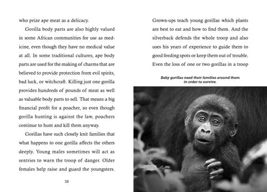 Save the...Gorillas US - Hardback