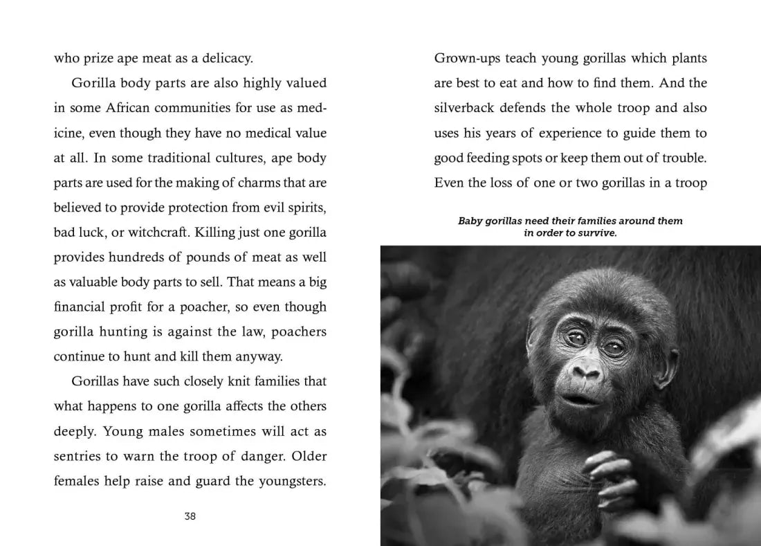 Save the...Gorillas US - Paperback / softback