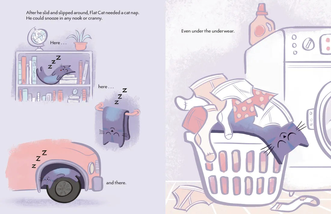 Flat Cat US - Hardback