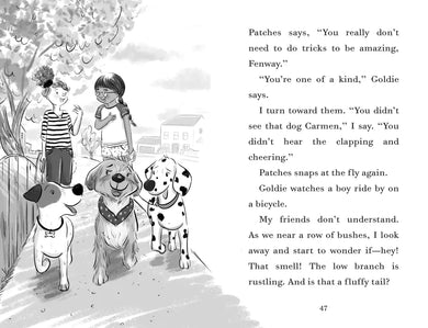 Fenway and the Frisbee Trick US - Paperback / softback